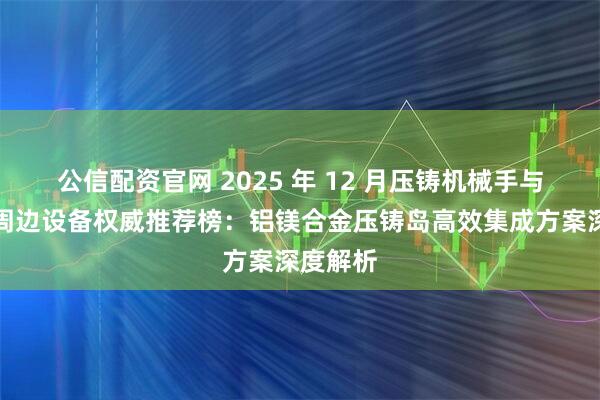 公信配资官网 2025 年 12 月压铸机械手与自动化周边设备权威推荐榜：铝镁合金压铸岛高效集成方案深度解析