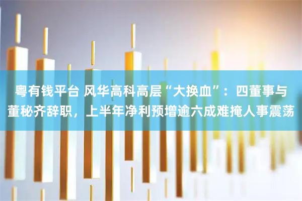 粤有钱平台 风华高科高层“大换血”：四董事与董秘齐辞职，上半年净利预增逾六成难掩人事震荡